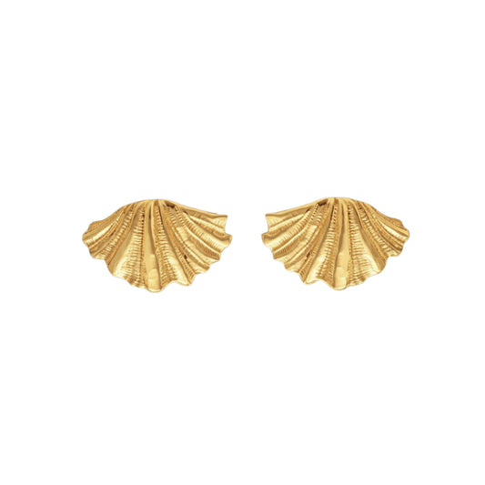 Shell Earrings in Gold
