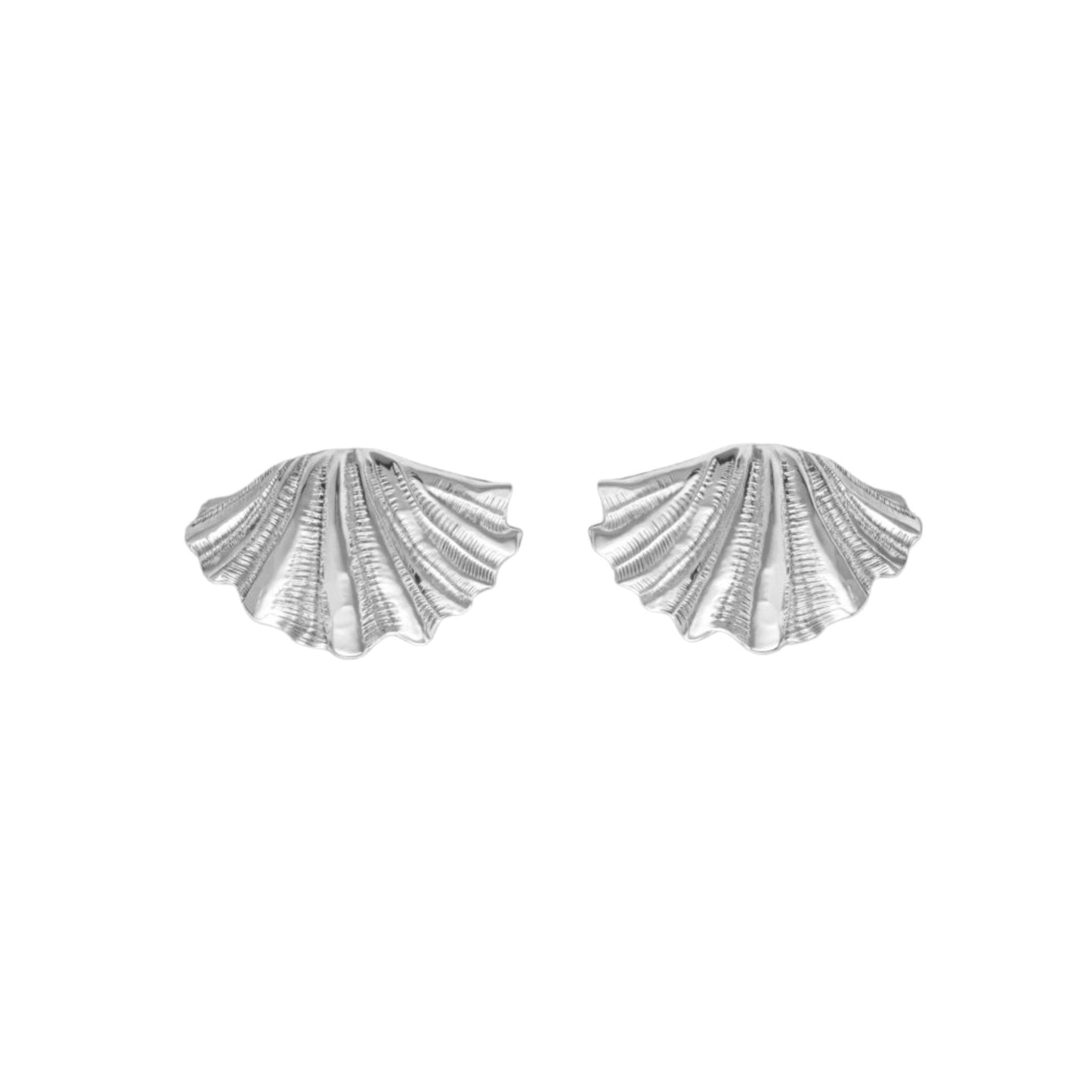 Shell Earrings in Silver