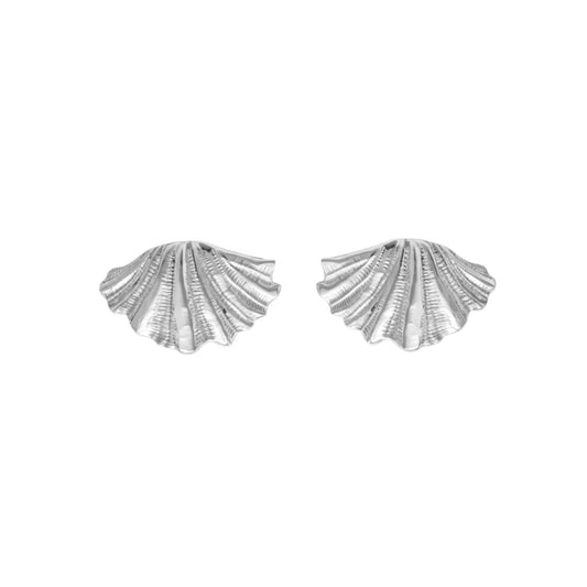Shell Earrings in Silver