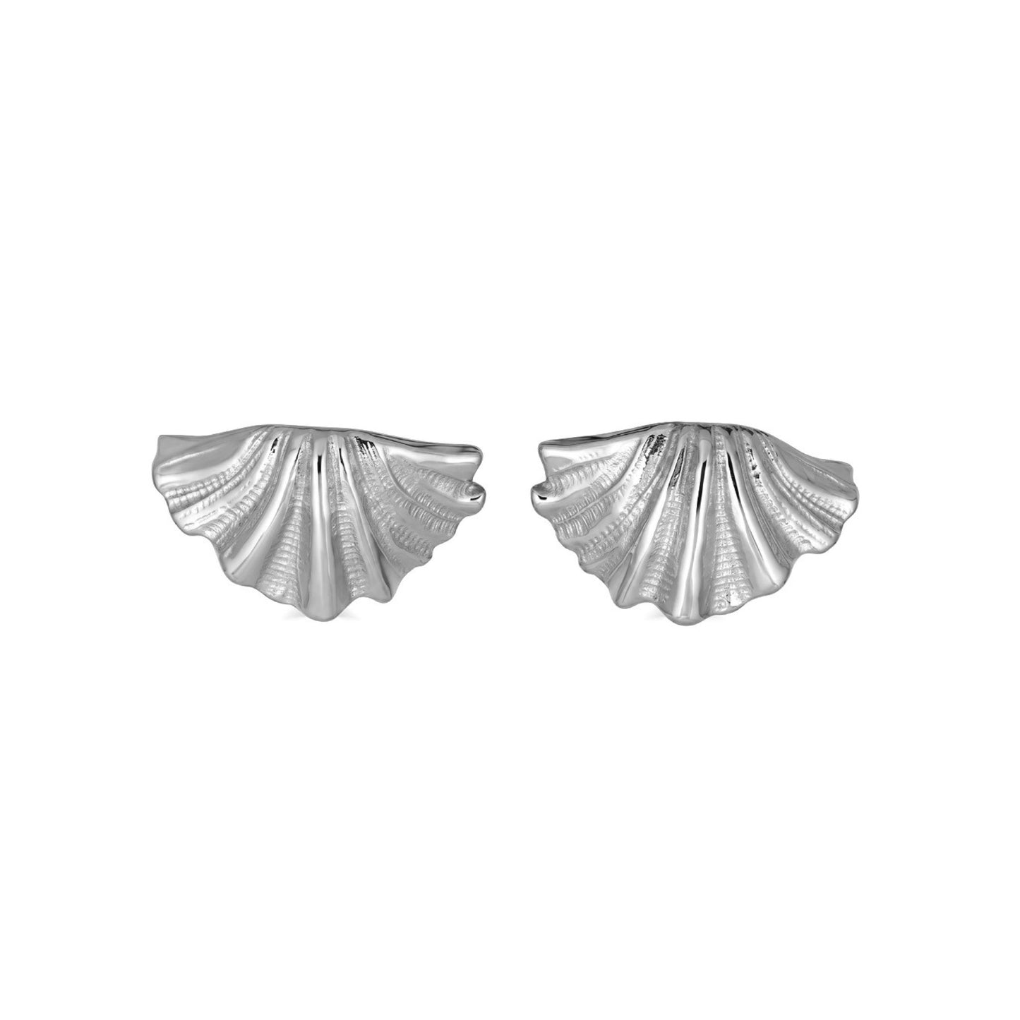Shell Earrings in Silver