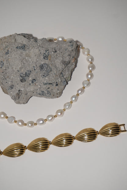 Shell Bracelet