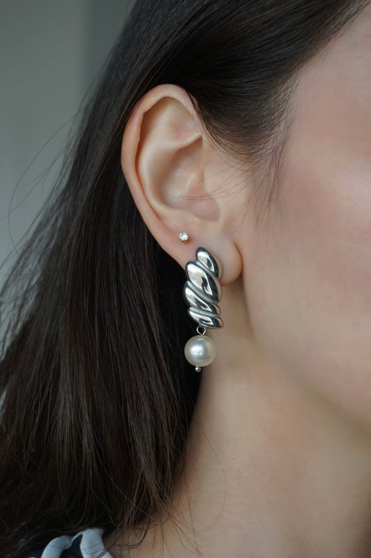 Wing Earrings in Silver