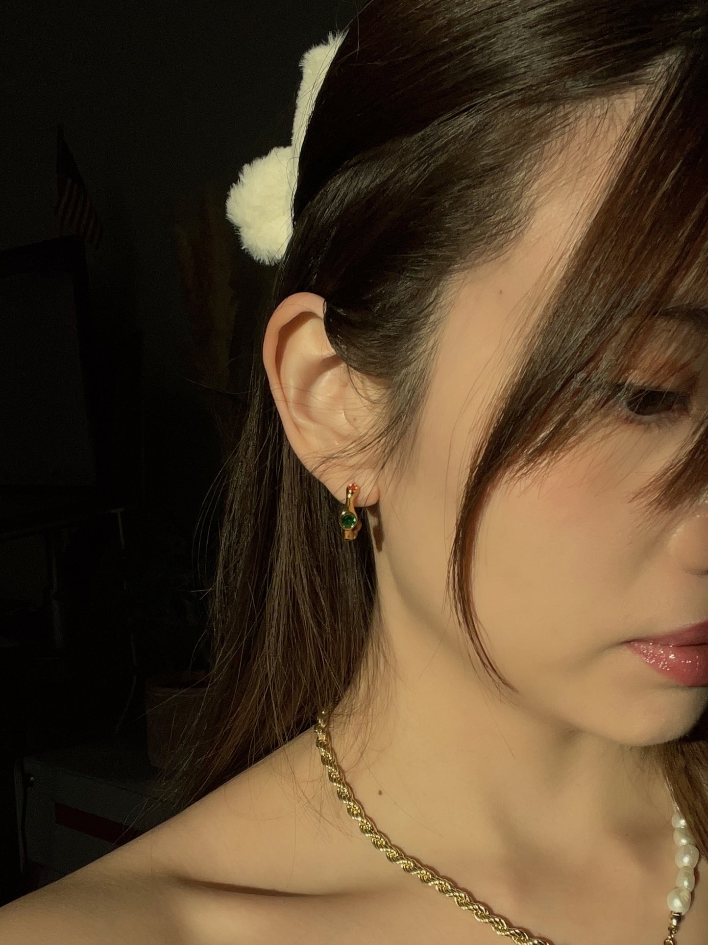 Bejeweled Earrings